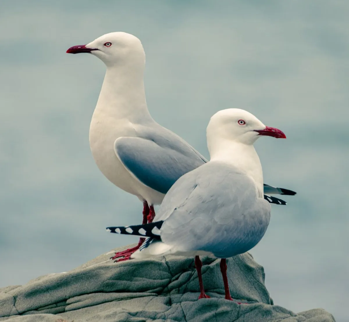 Optimizing Headlines and Descriptions for Better Click-Through Rates visual 3